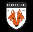 The Little Foxes FC logo