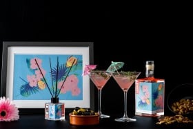 Modern Art Distillery's Watermelon & Thyme Vodka image