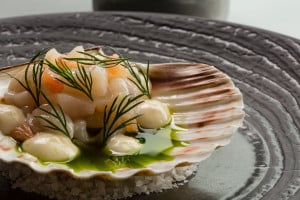 Orkney Scallop