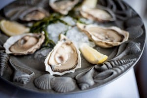 Rick Stein oyster 