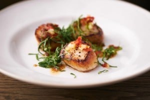 scallops