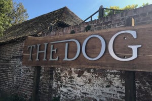 the dog at wingham 