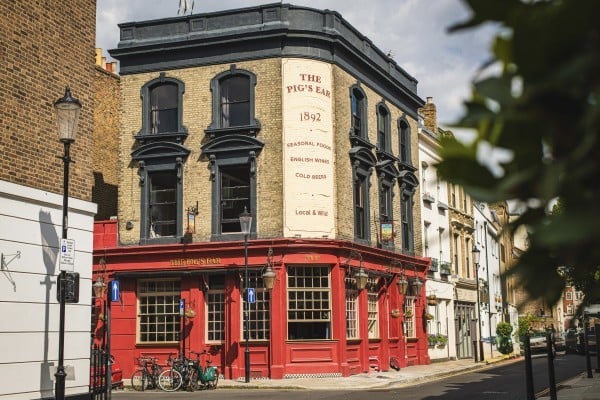 The Pigs Ear image