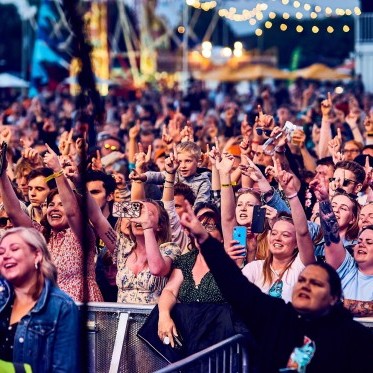 crowd 2 