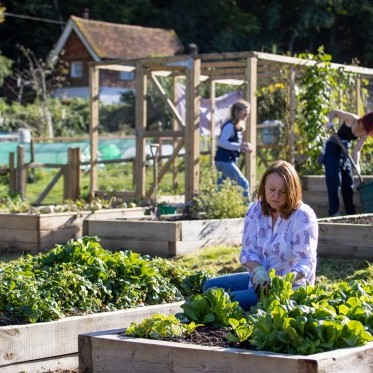 Loveworks allotment
