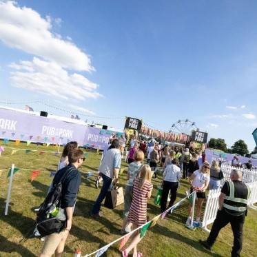 Pub in the Park needs you! image