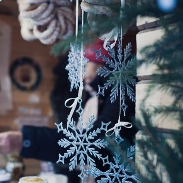 Christmas in the Park image