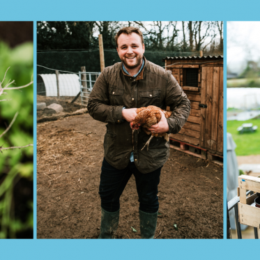 The Small Holding: hamper deliveries & tales from the farm    image